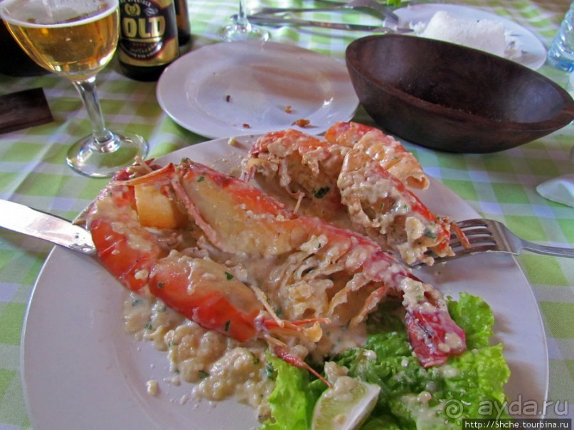 Альбом отзыва "40 причин поехать на Мадагаскар"