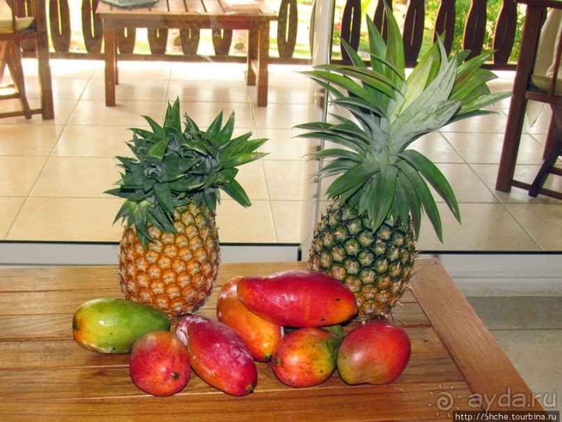 40 причин поехать на Мадагаскар