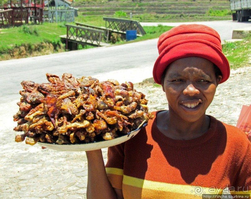 40 причин поехать на Мадагаскар