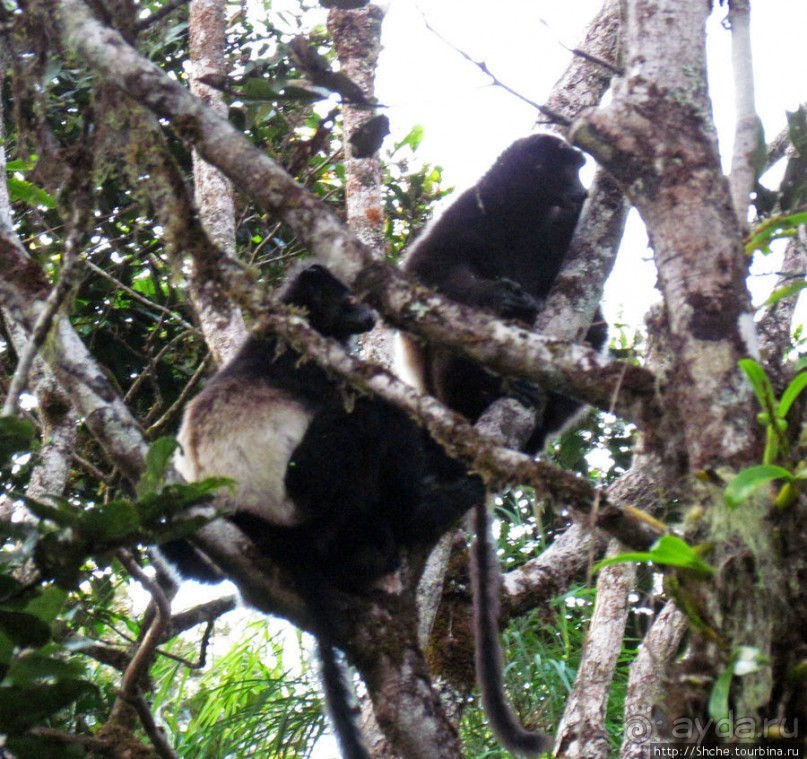 40 причин поехать на Мадагаскар