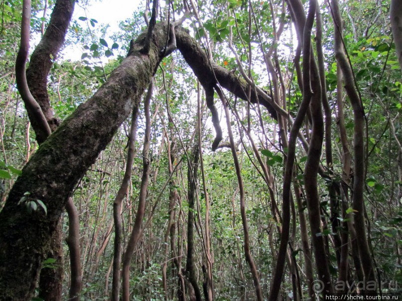 40 причин поехать на Мадагаскар