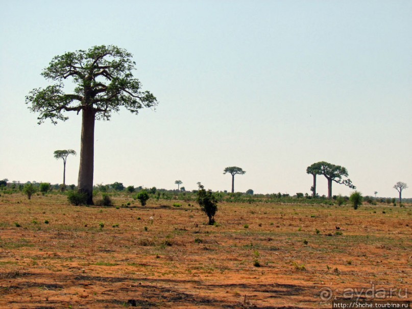 40 причин поехать на Мадагаскар