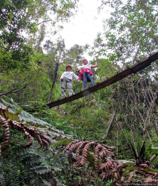 40 причин поехать на Мадагаскар