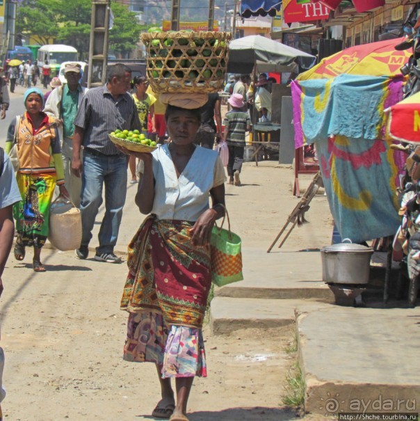 40 причин поехать на Мадагаскар