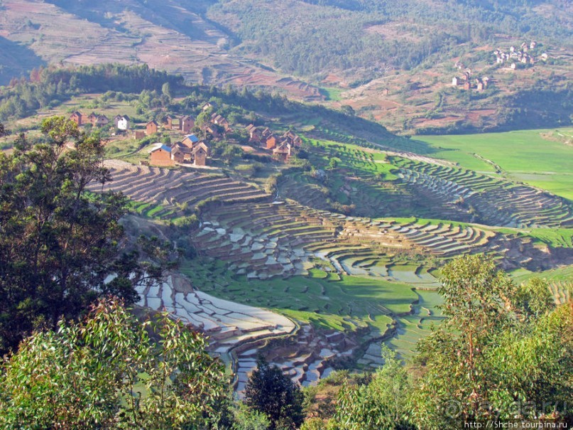 40 причин поехать на Мадагаскар