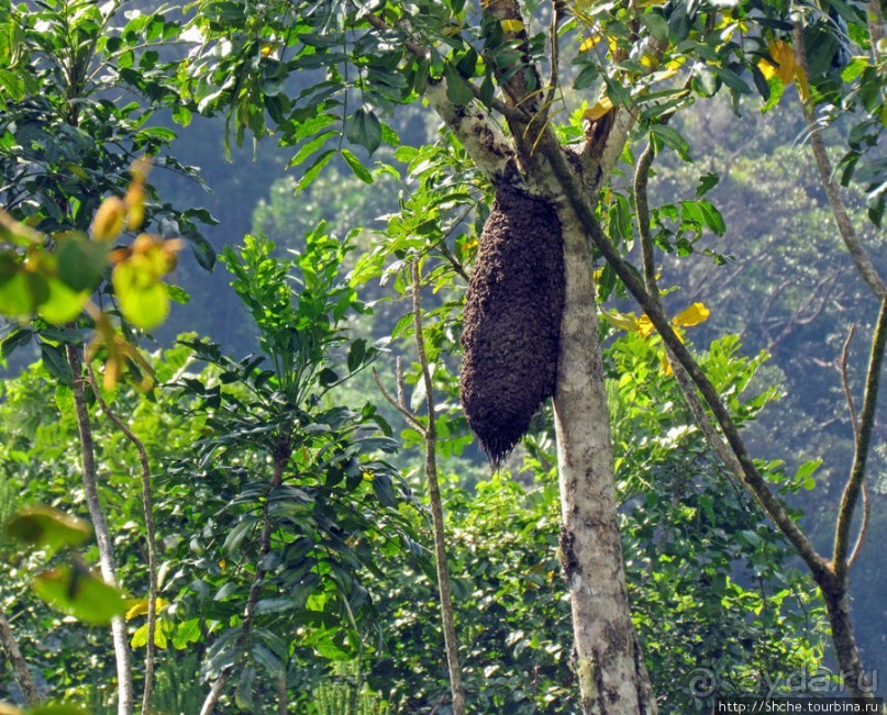 40 причин поехать на Мадагаскар
