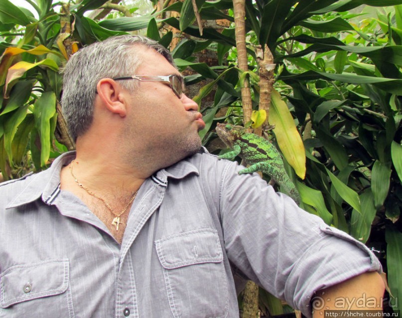 40 причин поехать на Мадагаскар