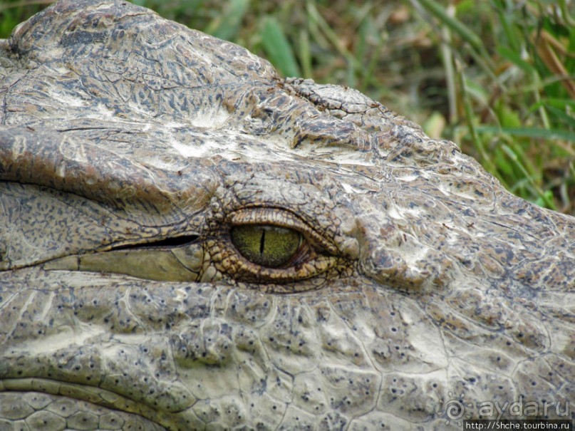 40 причин поехать на Мадагаскар