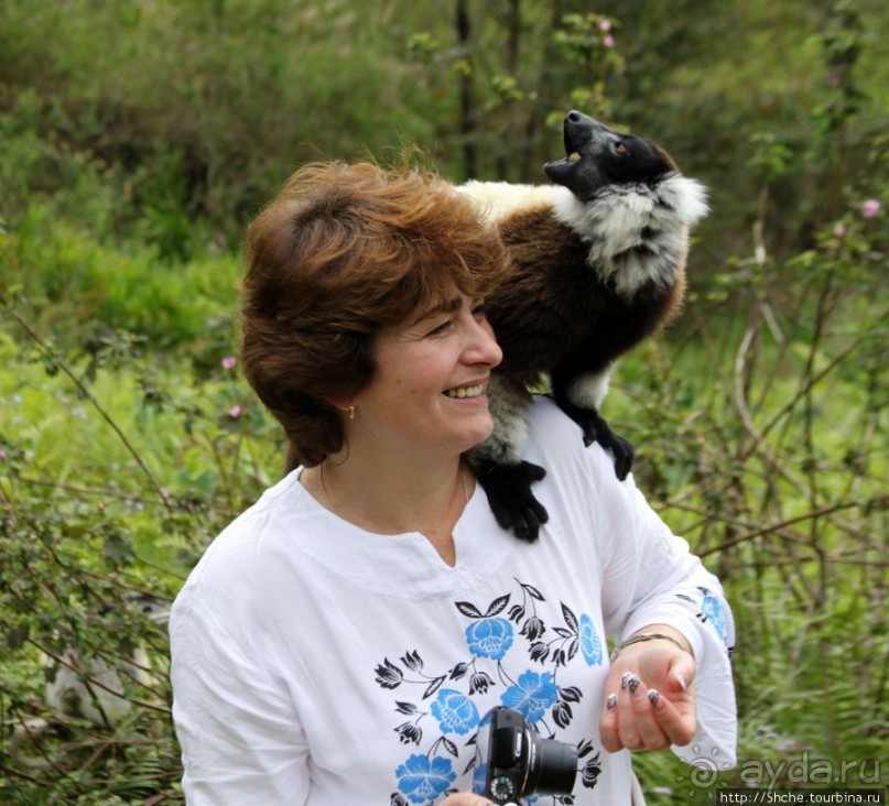 40 причин поехать на Мадагаскар