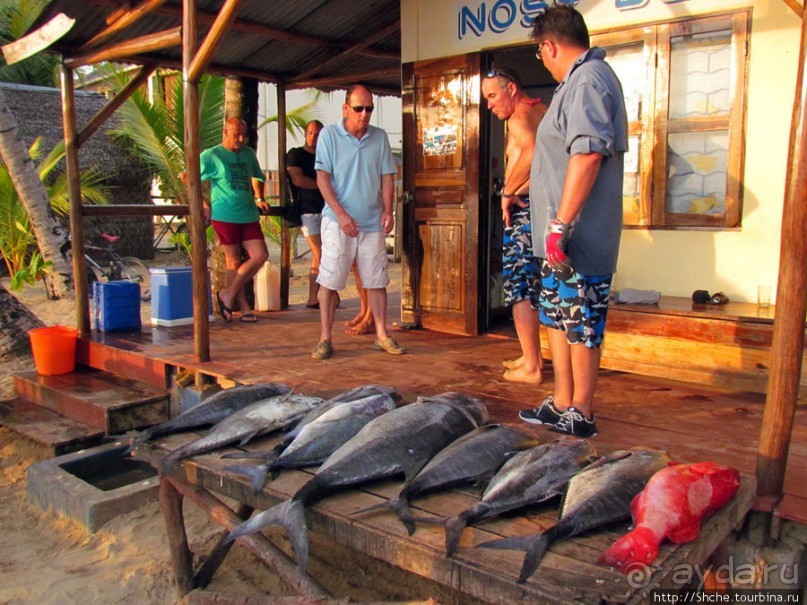 40 причин поехать на Мадагаскар