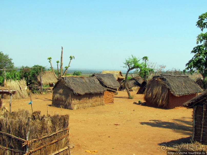 40 причин поехать на Мадагаскар