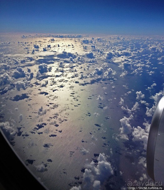 "Вперед на Гавайи", — Гонолулу, привет