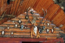 Музей, где вкусно кормят, или кафе, где есть что посмотреть