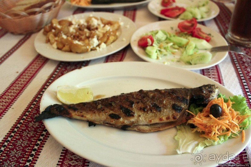 Музей, где вкусно кормят, или кафе, где есть что посмотреть