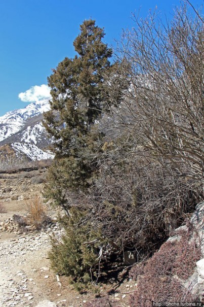 "По ущельям и по взгорьям" Самый живописный участок Мустанга