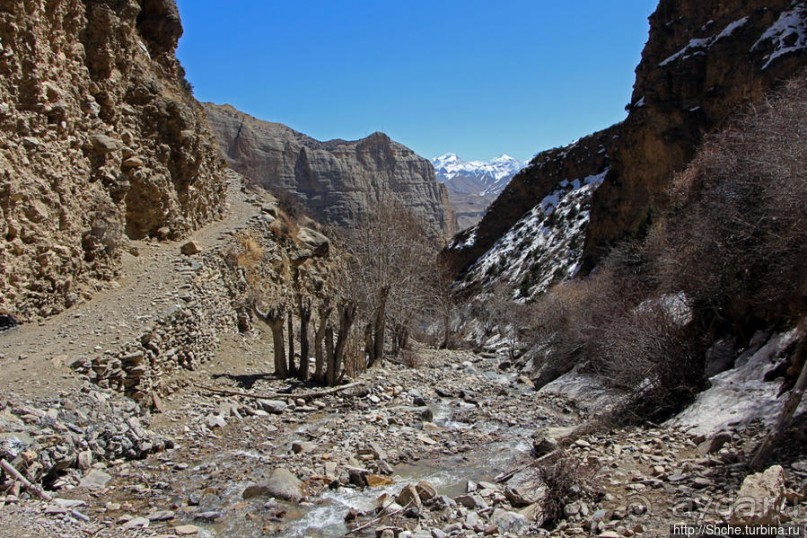 "По ущельям и по взгорьям" Самый живописный участок Мустанга