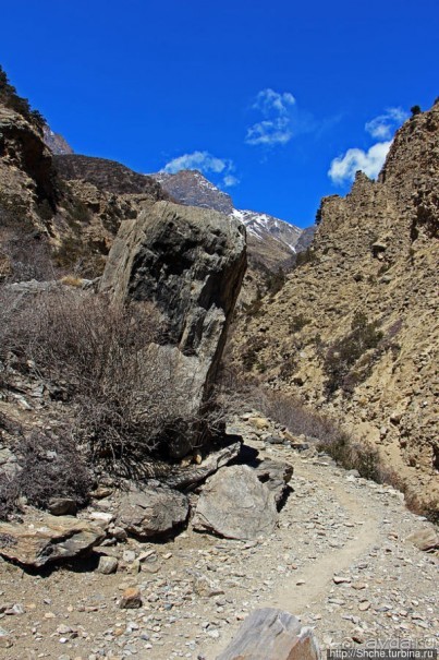 "По ущельям и по взгорьям" Самый живописный участок Мустанга
