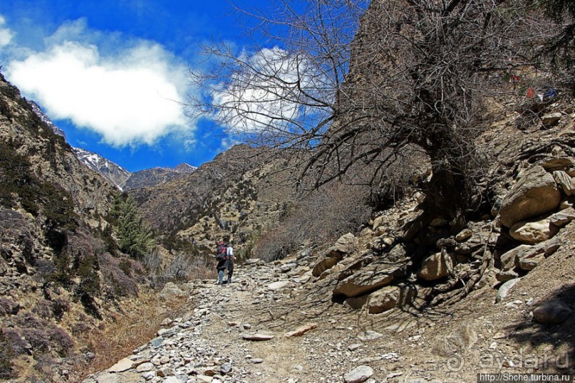 "По ущельям и по взгорьям" Самый живописный участок Мустанга