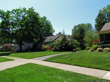 Альбом отзыва "Городок для жизни. Уиллоуби (Willoughby)"