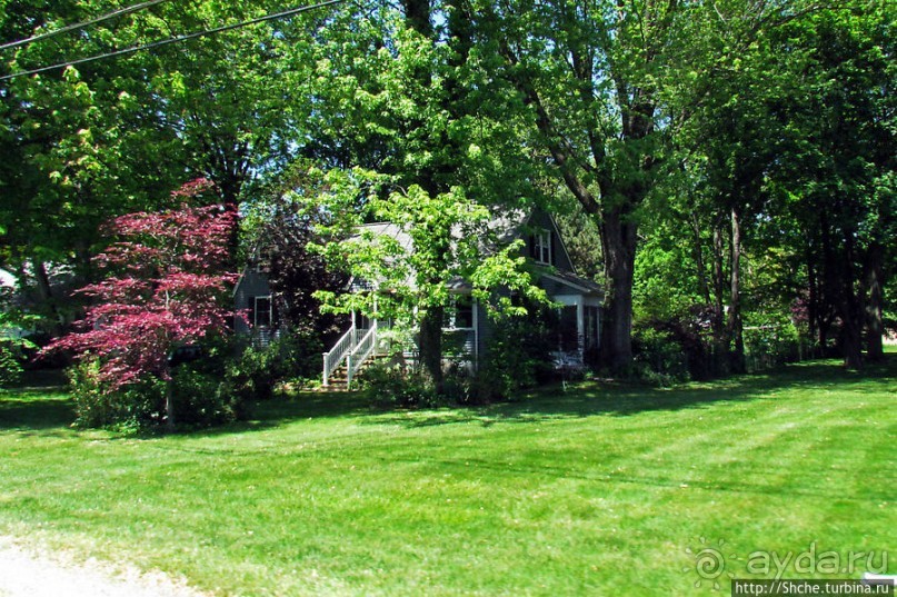 Городок для жизни. Уиллоуби (Willoughby)