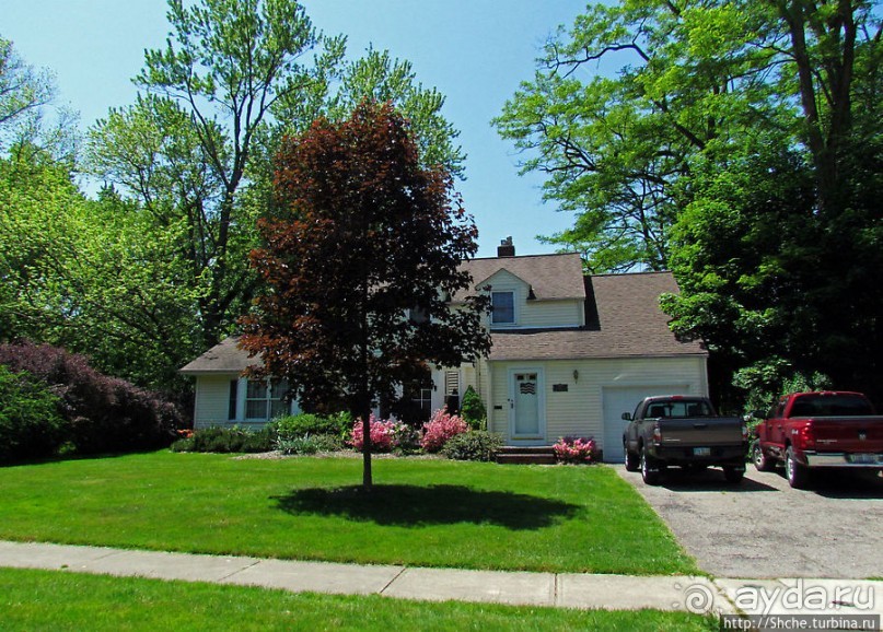 Городок для жизни. Уиллоуби (Willoughby)