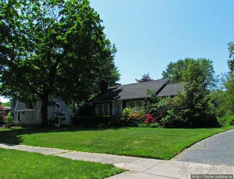 Городок для жизни. Уиллоуби (Willoughby)