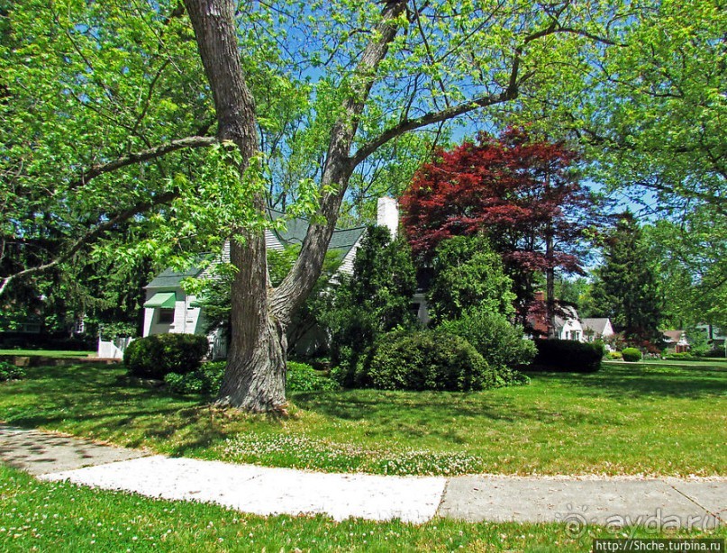 Городок для жизни. Уиллоуби (Willoughby)