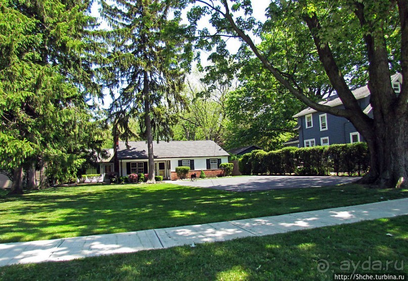 Городок для жизни. Уиллоуби (Willoughby)