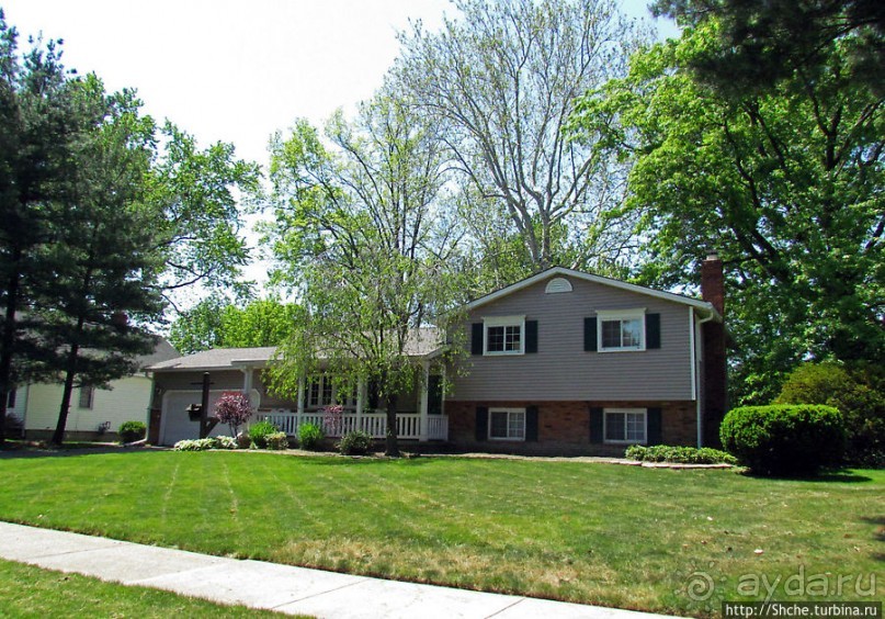 Городок для жизни. Уиллоуби (Willoughby)