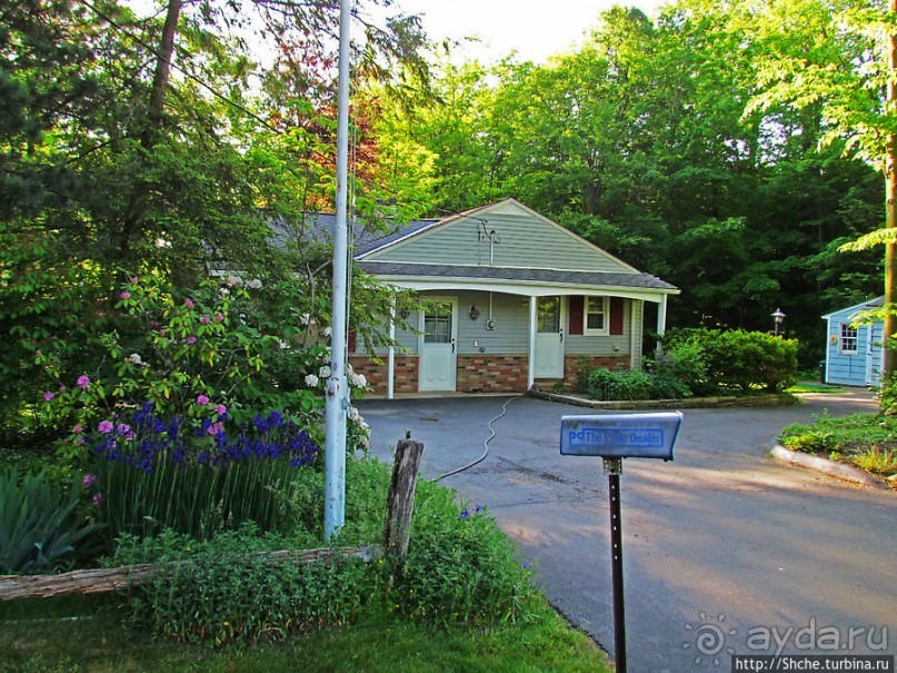 Городок для жизни. Уиллоуби (Willoughby)