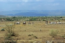 Эфиопские картинки. Дорога в Лалибелу. Пустынный регион Афар