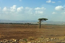 Эфиопские картинки. Дорога в Лалибелу. Пустынный регион Афар