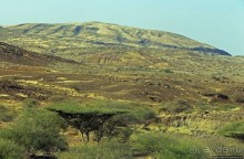 Эфиопские картинки. Дорога в Лалибелу. Пустынный регион Афар