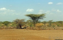 Эфиопские картинки. Дорога в Лалибелу. Пустынный регион Афар