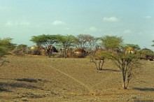Эфиопские картинки. Дорога в Лалибелу. Пустынный регион Афар