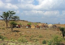 Эфиопские картинки. Дорога в Лалибелу. Пустынный регион Афар