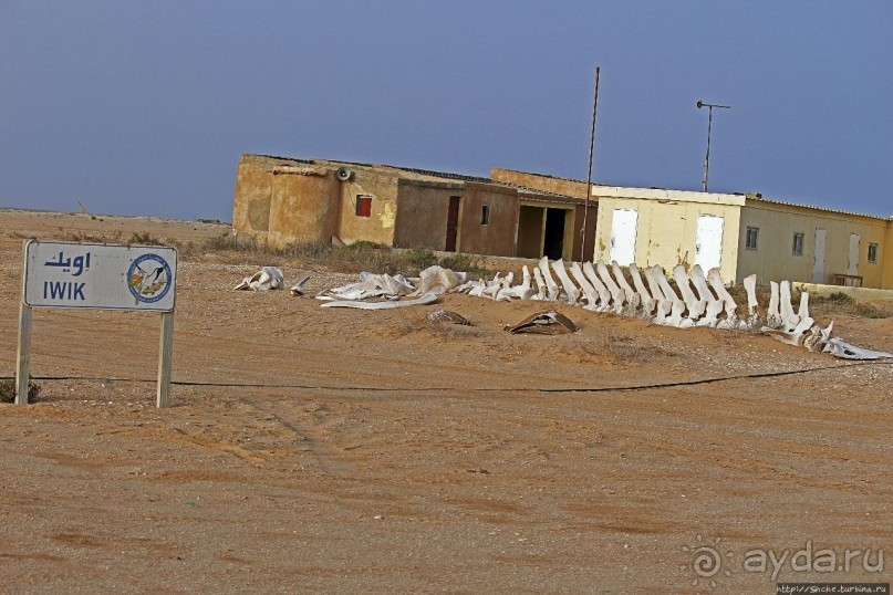 Альбом отзыва "Национальный парк Банк д`Арген (объект ЮНЕСКО №506)"