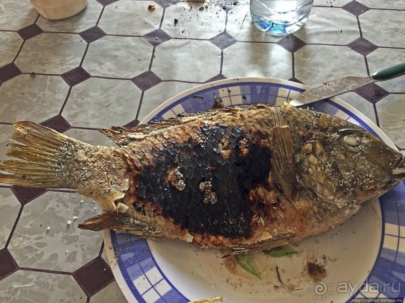 Альбом отзыва "Национальный парк Банк д`Арген (объект ЮНЕСКО №506)"