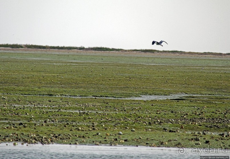Альбом отзыва "Национальный парк Банк д`Арген (объект ЮНЕСКО №506)"