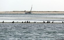 Альбом отзыва "Национальный парк Банк д`Арген (объект ЮНЕСКО №506)"