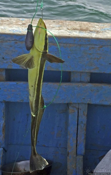 Альбом отзыва "Национальный парк Банк д`Арген (объект ЮНЕСКО №506)"