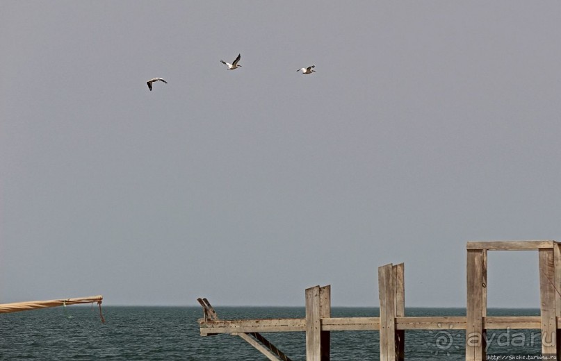 Альбом отзыва "Национальный парк Банк д`Арген (объект ЮНЕСКО №506)"