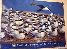 Альбом отзыва "Национальный парк Банк д`Арген (объект ЮНЕСКО №506)"