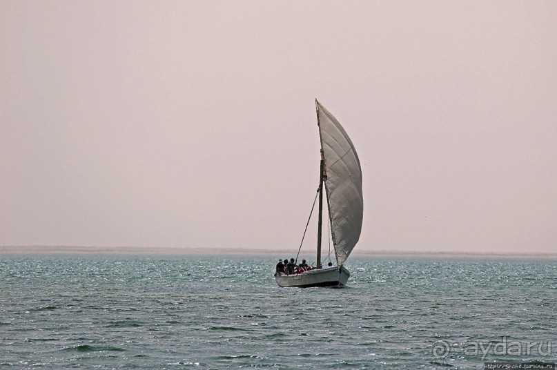 Альбом отзыва "Национальный парк Банк д`Арген (объект ЮНЕСКО №506)"