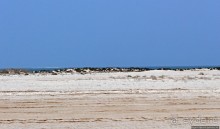 Альбом отзыва "Национальный парк Банк д`Арген (объект ЮНЕСКО №506)"