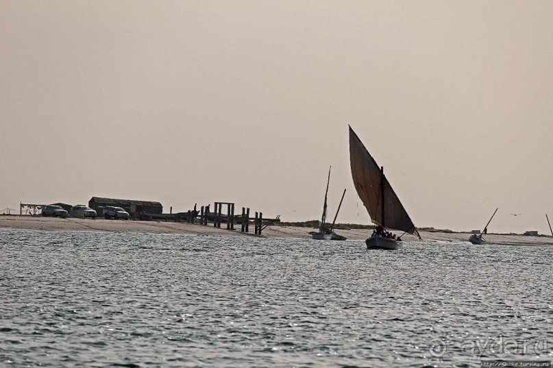 Альбом отзыва "Национальный парк Банк д`Арген (объект ЮНЕСКО №506)"