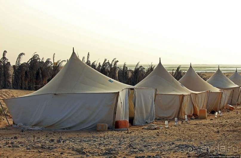 Альбом отзыва "Национальный парк Банк д`Арген (объект ЮНЕСКО №506)"