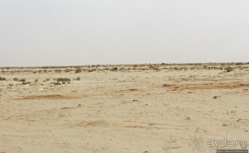 Альбом отзыва "Национальный парк Банк д`Арген (объект ЮНЕСКО №506)"