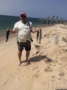 Альбом отзыва "Национальный парк Банк д`Арген (объект ЮНЕСКО №506)"