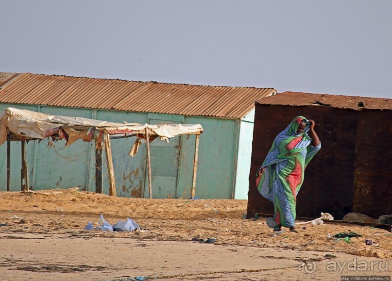 Альбом отзыва "Национальный парк Банк д`Арген (объект ЮНЕСКО №506)"